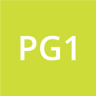 PG13