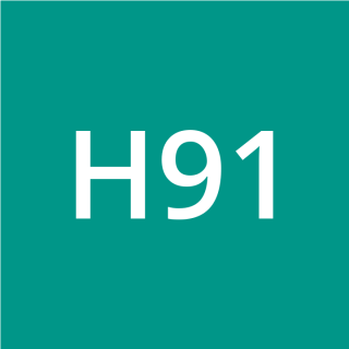 H917